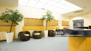 中医经络学深度解析与现代推拿理疗对比 图片